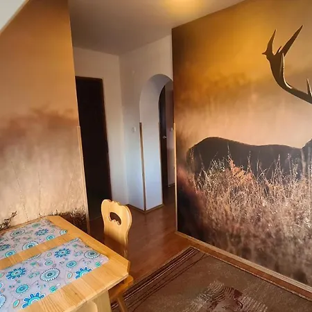 Homestay Wynajem Pokoi Magdalena *